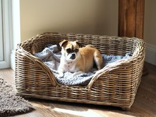 Medium wicker dog bed