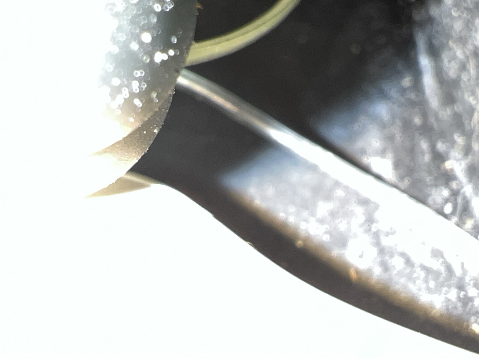 Picture 5 of 9
