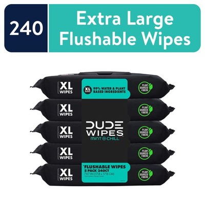 DUDE Flushable Wipes Extra Large Mint Chill Wet Wipes 48 Count 5 Pack 240 Total)