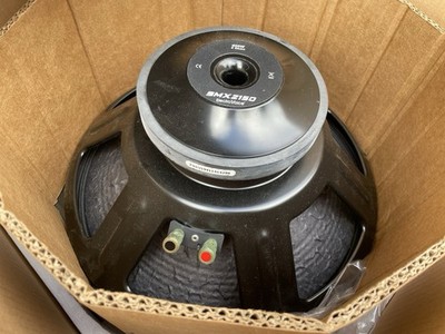 Ev ETX 15, Electro Voice ETX 15 Original Lautsprecher Defekt