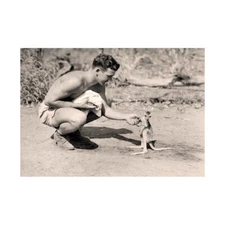 Vintage Y American Soldier Kangaroo Joey Framed Wall Art Print