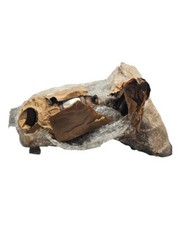 DEC Exhaust Manifold Integrated Catalytic Converter NIS92596 For Nissan Altima