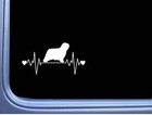 Komondor Lifeline L769 8 inch Sticker livestock guard dog lgd Decal