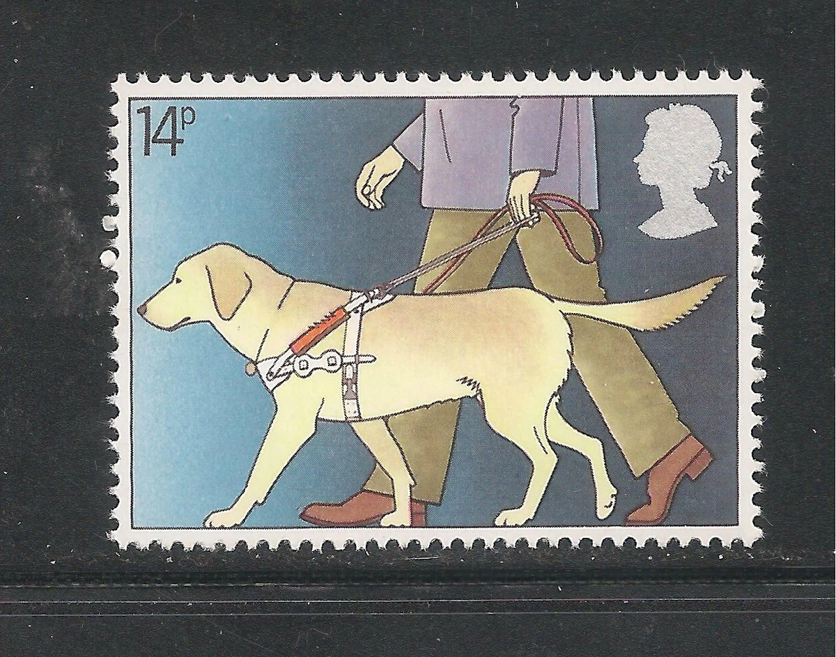 Dog leading blind hot sale dog