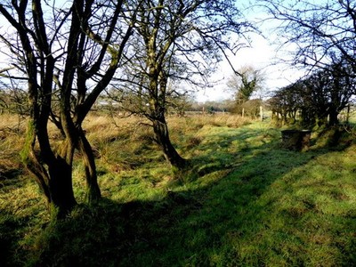 Photo 6x4 Rough ground, Creevenagh An Oghmagh Heading NNW c2018