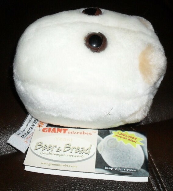 giant microbes yeast