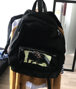 rottweiler backpack