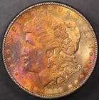 1889MORGAN SILVER DOLLAR-TONED-FRESH FROM A LOCAL COLLECTION LOT CC-244