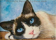 Snowshoe Siamese cat art ACEO print from original painting by Suzanne Le Good