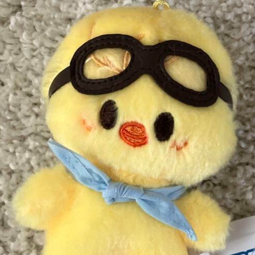 PILOT SKZOO フィリックス 楽天市場】【新品未開封】 straykids ぬいぐるみ フィリックス