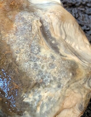Lake Superior Agate Rough/Raw 2.1 oz  V34