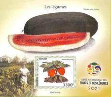 A8800 - TCHAD -   ERROR MISPERF  Stamp Sheet - 2021 PLANTS LEGUMES