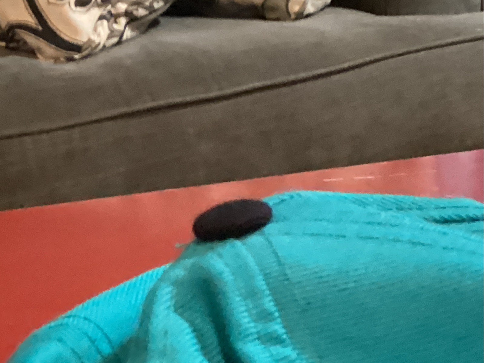 NWT Florida Marlins Blue  Cap Hat Adjustable - image 3