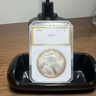 2003 Slab Toned American Silver Eagle