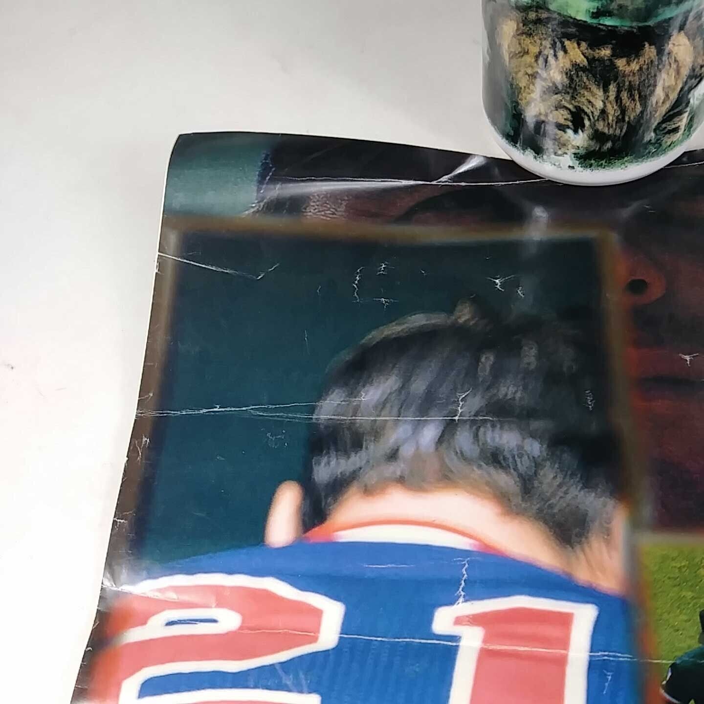 Picture 5 of 5