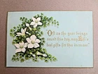 Victorian Birthday Greetings Card M & Co White Jasmine Ferns Gold Embossed 1881