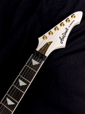Aria ProII RS-CUSTOM3 WH(White) Aria Pro2 Made in Japan | eBay