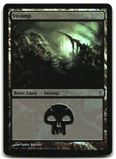 MTG Swamp () FOIL L Time Spiral 291 MP