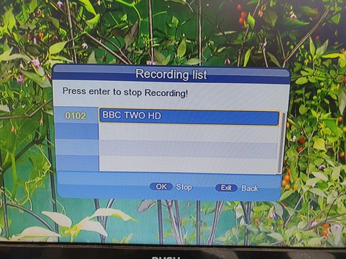 Full HD Freeview Set Top Box 1080P RECORDER Digital TV Receiver 500GB Festplatte - Bild 6 von 16