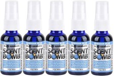 Scent Bomb 100 Oil Based Concentrated Air Freshener Spray, Hawaiian Blue 5 Pack