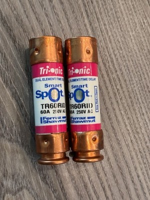 Ferraz Shawmut TR60RID Dual Element Time Delay Cartridge Fuse 60A 250V AC 2 Pack