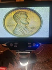1909 P VDB MS STATE NICE COIN