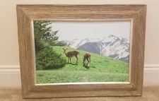 Ron Parker ORIGINAL Painting SUMMER GRASSES - BLACKTAILS Canada Wildlife Artist