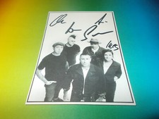 Broilers Punk Band Signed Autographed Autograph On Autograph Card