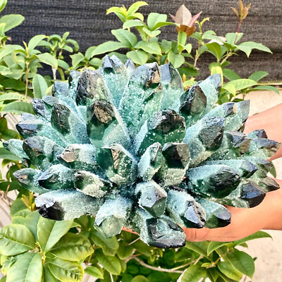 7.55LB Newly discovered green phantom quartz crystal cluster mineral