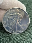 1991 U.S. Mint American Silver Eagle 1 oz 0.999 Silver Bullion Coin