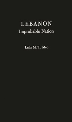 Lebanon, Improbable Nation: A Study in Political Development by Leila M T Meo