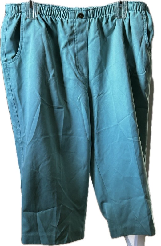 Kim Rogers Essentials Teal Capri pants Sz 14P