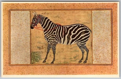 Antique Postcard Zebra Painting Ustad Mansur Boston, MA 1900s