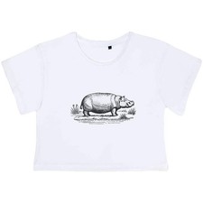 'Hippopotamus Standing in a Field' Women's Cotton Crop Tops (CO055084)