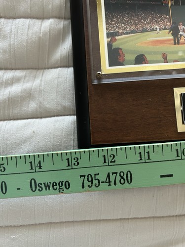Fenway Park Baseball Stadium Edizione da Collezione Targa Numerata Carlton Fisk - Foto 5 di 17