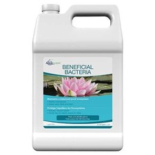 Aquascape Pond Beneficial Bacteria 1 Gallon 9...