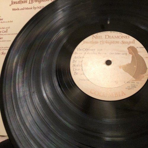 LP: Neil Diamond "Johnathan Livingston Seagull" Original Movie Sound Track 1973 - Imagen 11 de 12