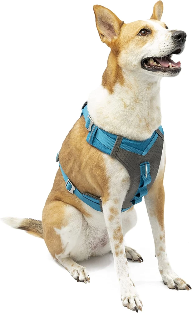 Dog Harness for Medium, & Small Active Dogs, Pet Hiking Harness for Running & Wa