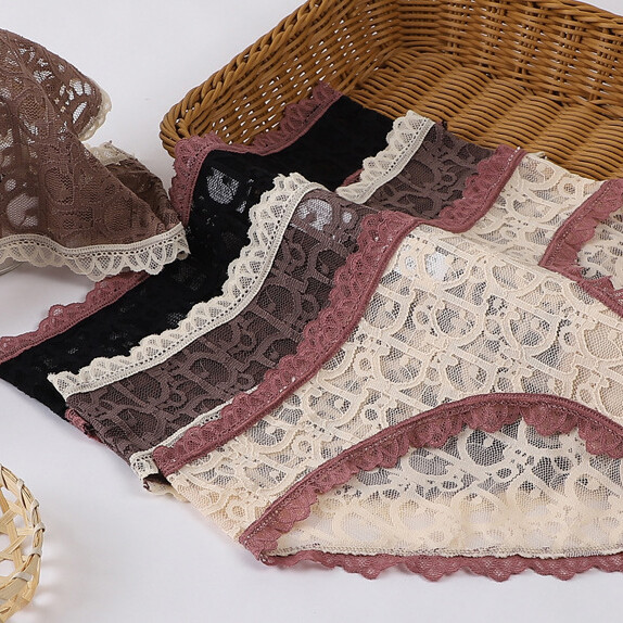 New 4 Pack Lot Sexy Womens Lace Trim Sheer Panties Underwear Ladies Lingeries