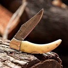 Custom Handmade Damascus Steel Foldable Blade Pocket Knife Camel Bone Handle