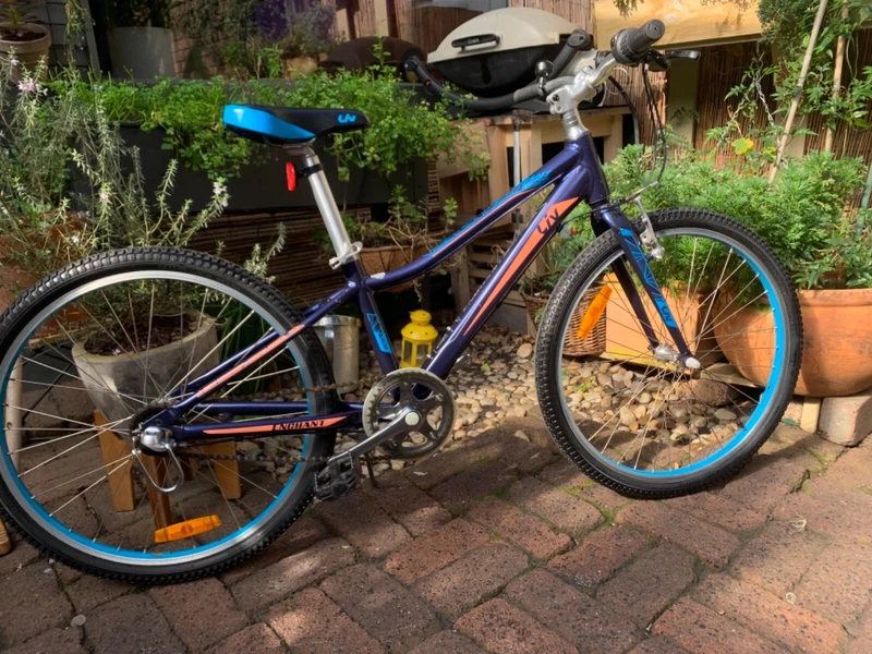 giant liv 24 inch