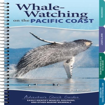 Whale-Watching on the Pacific Coast Easily Identify Whales Dolphi