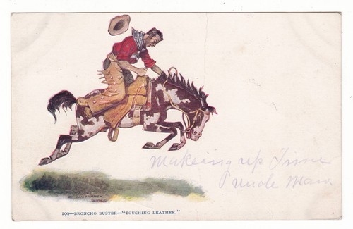 Brocho Busting antique postcard art card / paint horse rodeo / H. H. Tammen