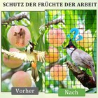 Bild 6 von 17