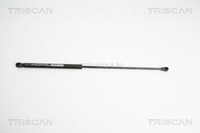 Triscan Gasfeder, Koffer-/Laderaum 8710 38220 FüR CitroËN