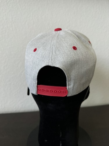 RETRO SAN FRANCISCO 49ers NINERS LOGO RED & GRAY ADULT SIZE SNAPBACK HAT NEW 🏈 - Picture 3 of 6