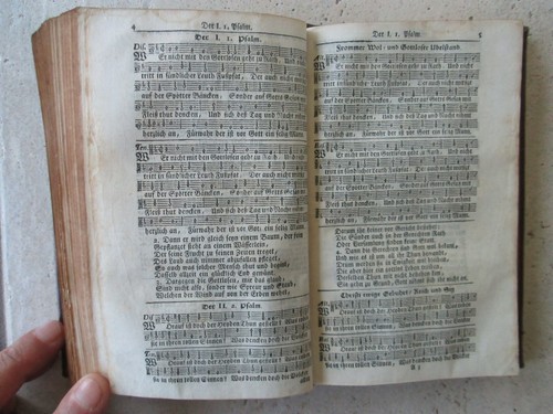 COURCELLES / NOVUM TESTAMENTUM (grec) + LOBWASSER PSALMEN, 1735/31. Marot/Bèze - Picture 17 of 24
