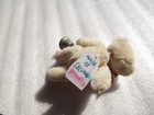 Bild 8 von 15