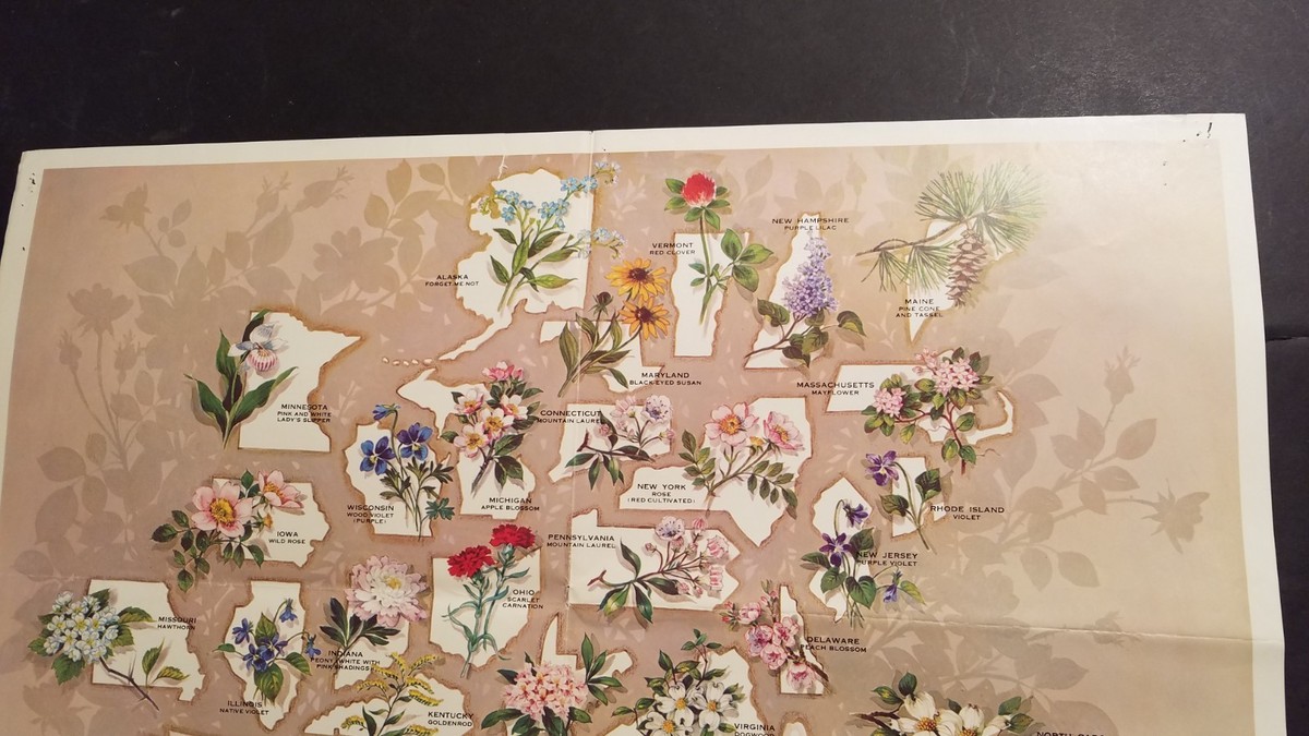 Drapeau américain et fleur de rose sur la table. Symbole des Etats-Unis
