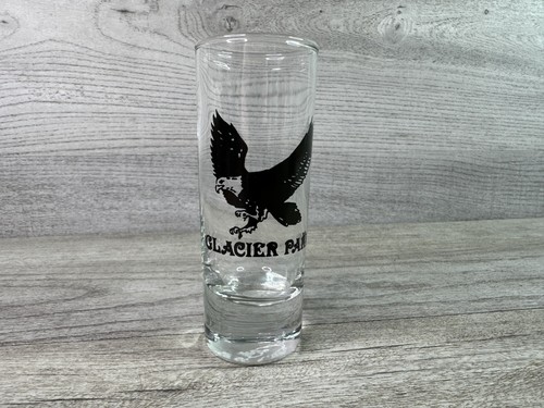 Glacier Park Montana Souvenir Shot Glass Eagle Design Collectible 4 Inch Tall